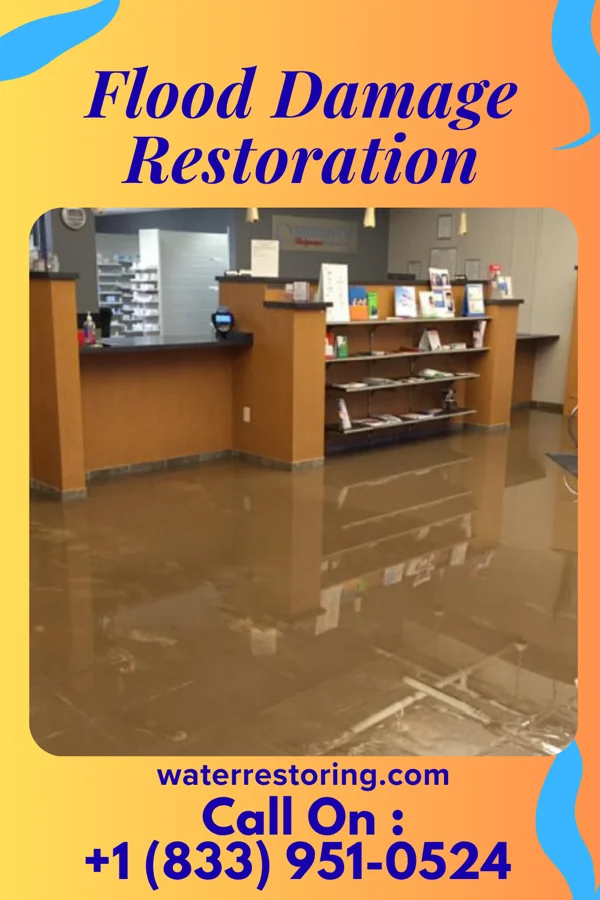 Flood Damage Restoration in Pheasant Run, OH