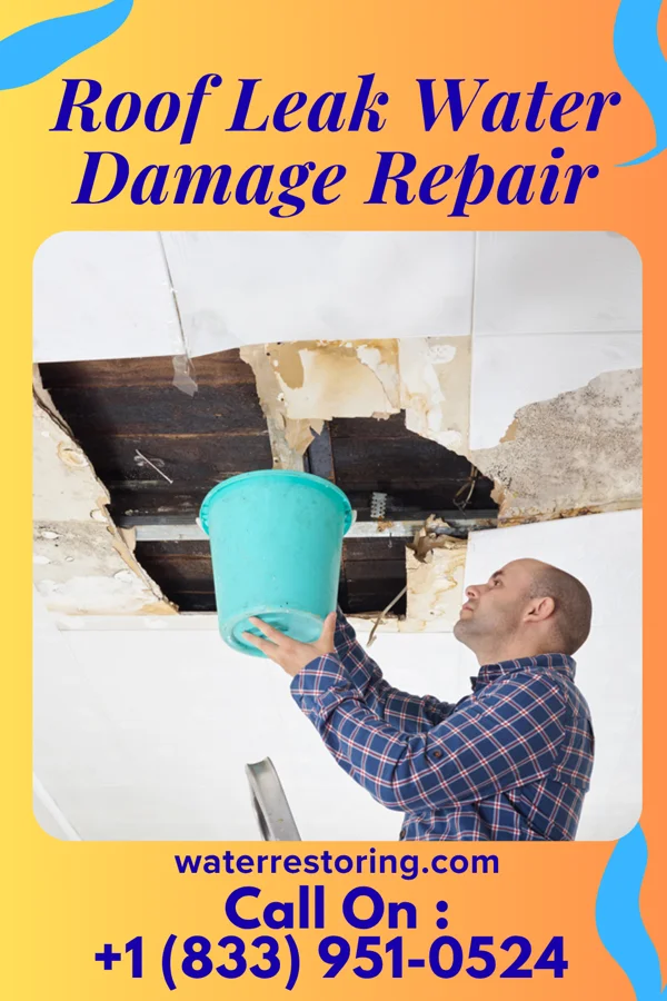 Roof Leak Water Damage Repair in Pheasant Run, OH