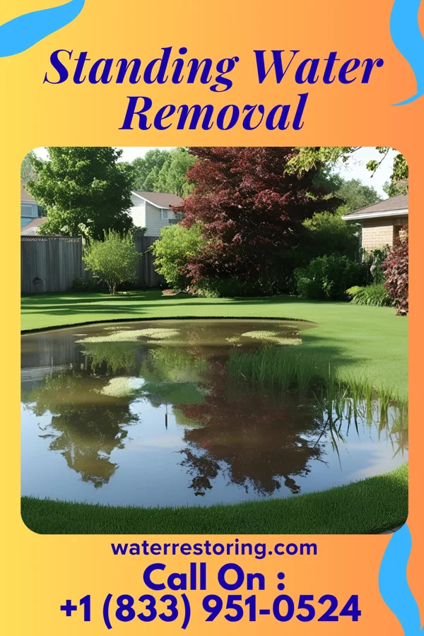 Standing Water Removal in Pheasant Run, OH